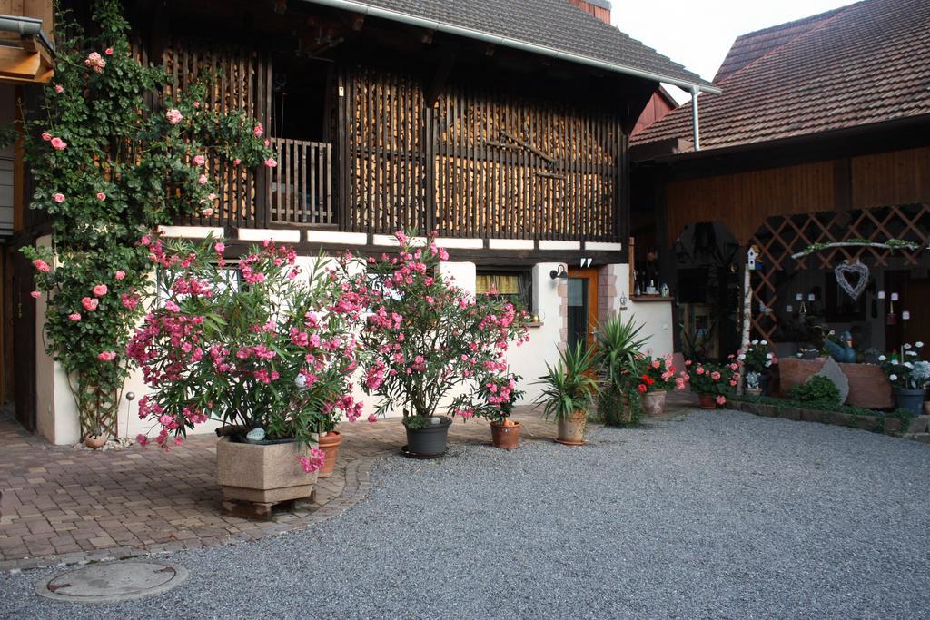 Ferienwohnung Fam. Hoehn Kappel-Grafenhausen Exterior photo
