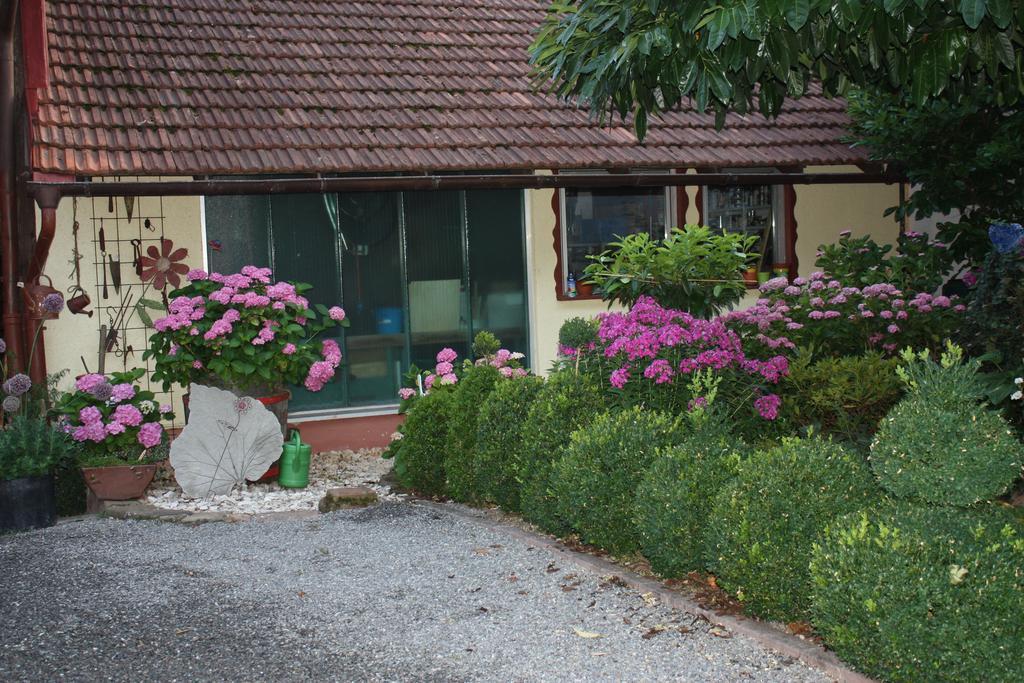 Ferienwohnung Fam. Hoehn Kappel-Grafenhausen Exterior photo